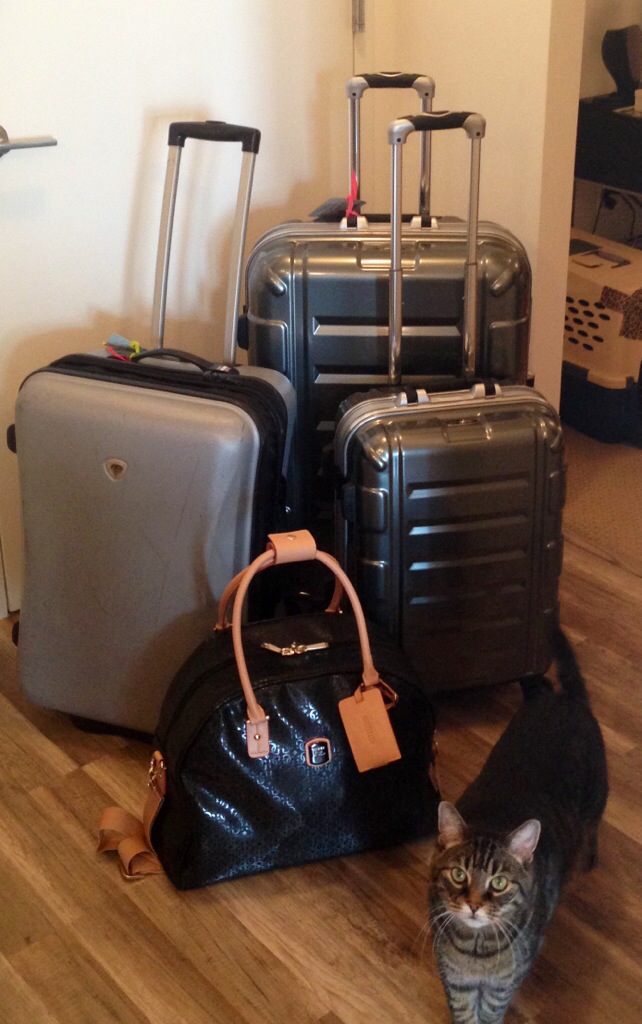 Arrivederci! (My god they’re really&nbsp;leaving)