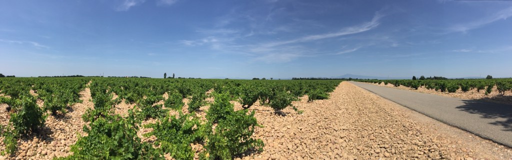 Rocks and Wine (Yes&nbsp;more)