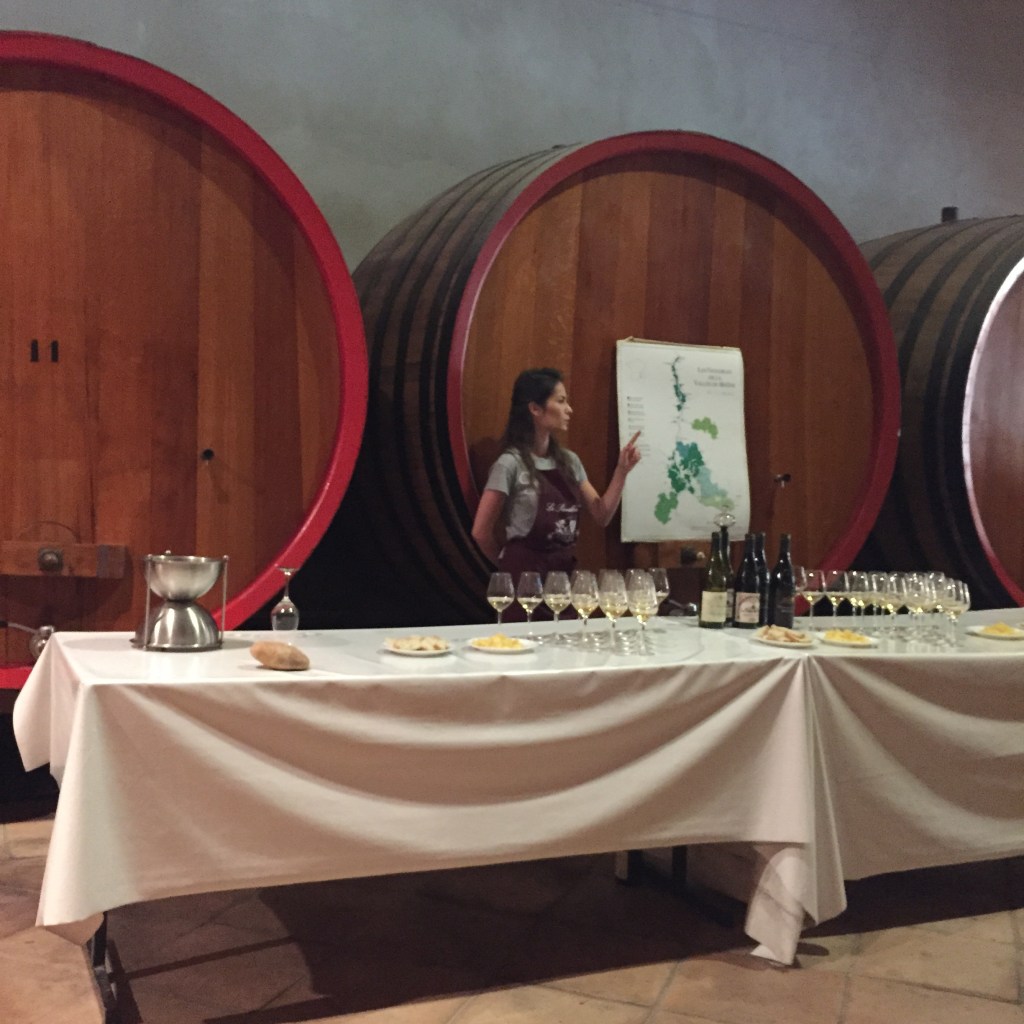 A tasting room lined with enormous oak foudres, a guide standing at a chart, rows of glasses and bottles set out on a white-clothed table.