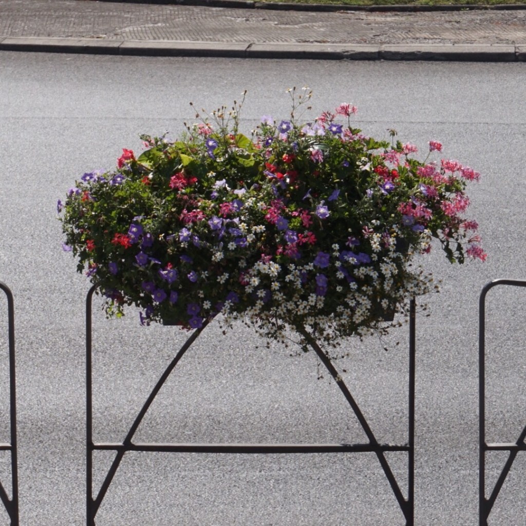 Les Halles de Bocuse and the Sound of&nbsp;France