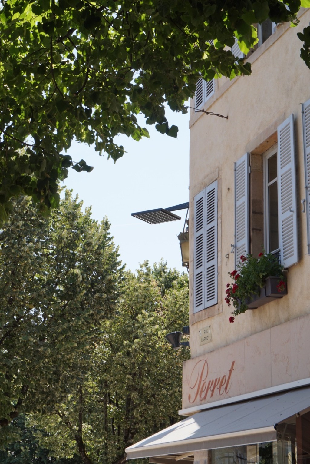 A shuttered stone house with pale blue shutters and geraniums at the window, framed by plane leaves, a Perret sign below.