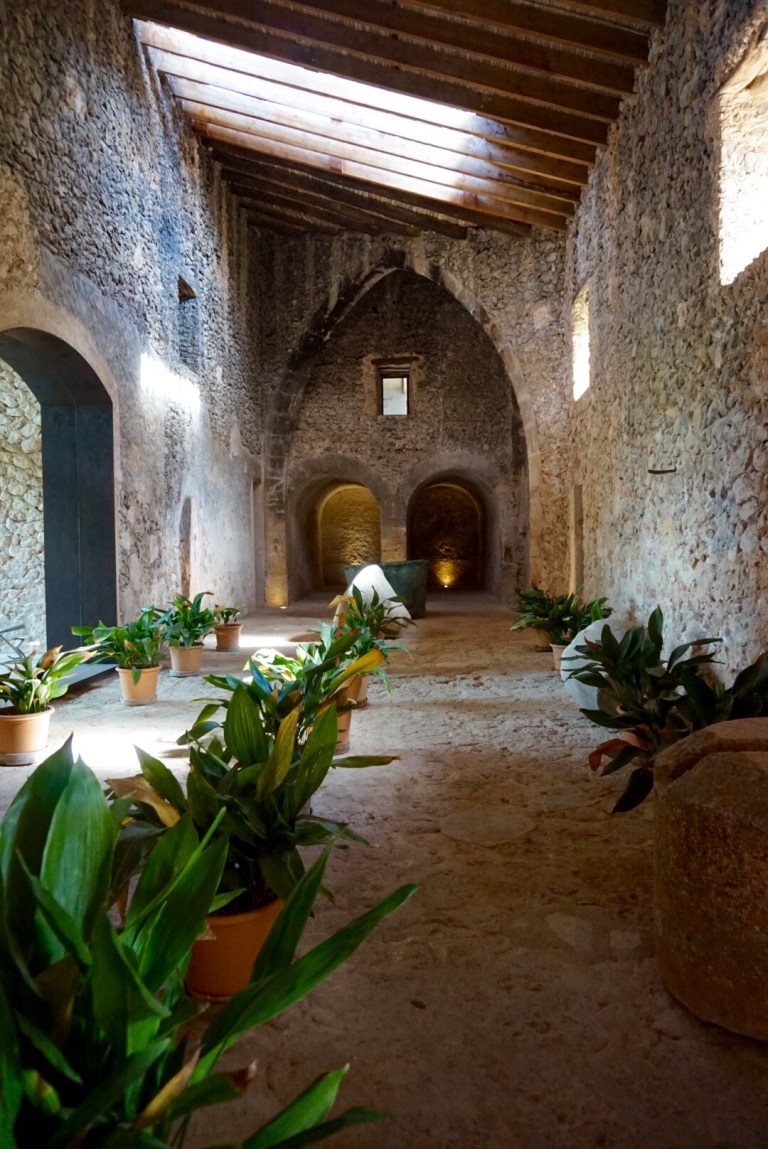 A long vaulted stone hall with a beamed ceiling and potted plants set down the middle of the floor