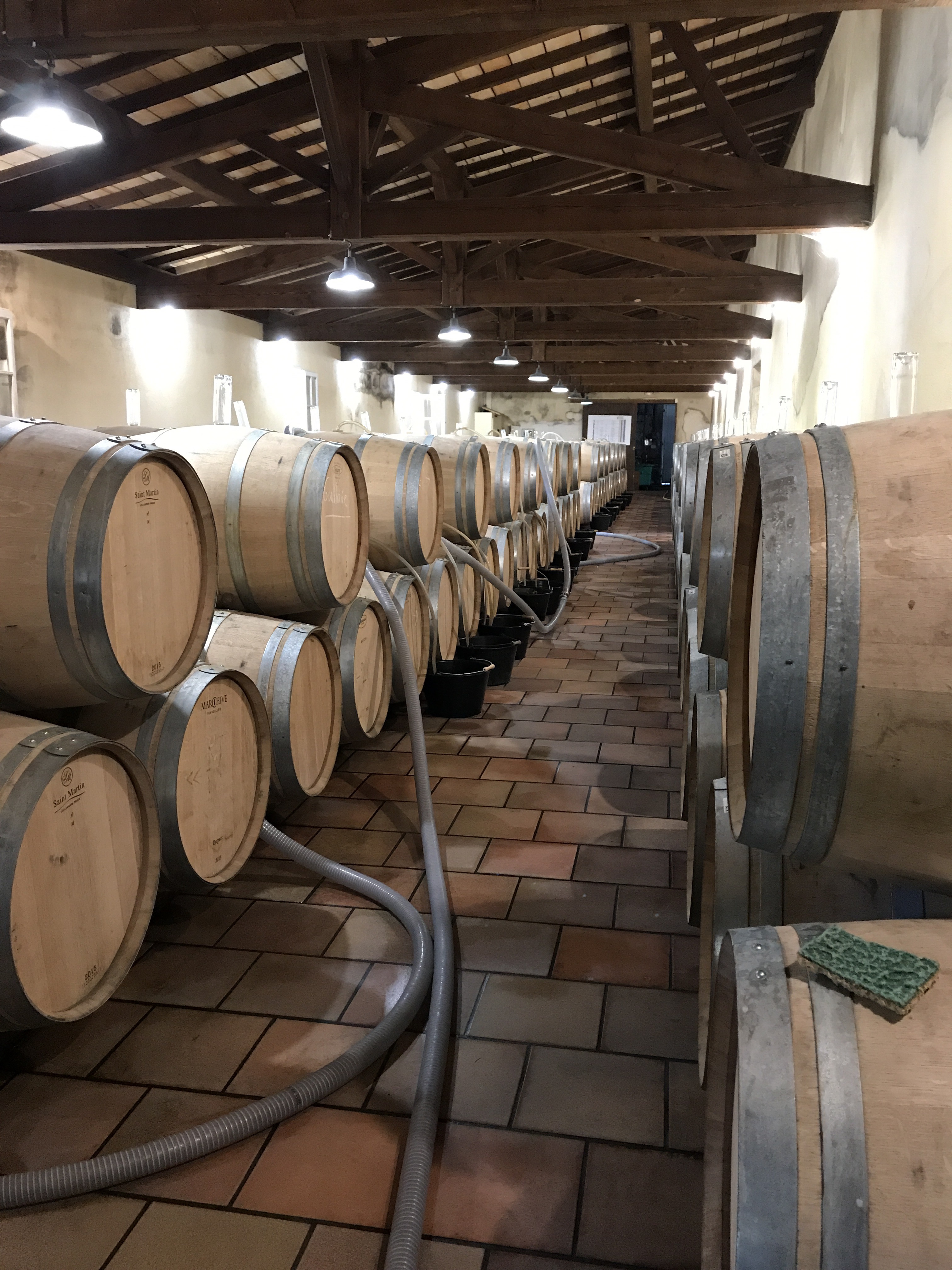A row of oak barrels along the wall of a Bordeaux cellar
