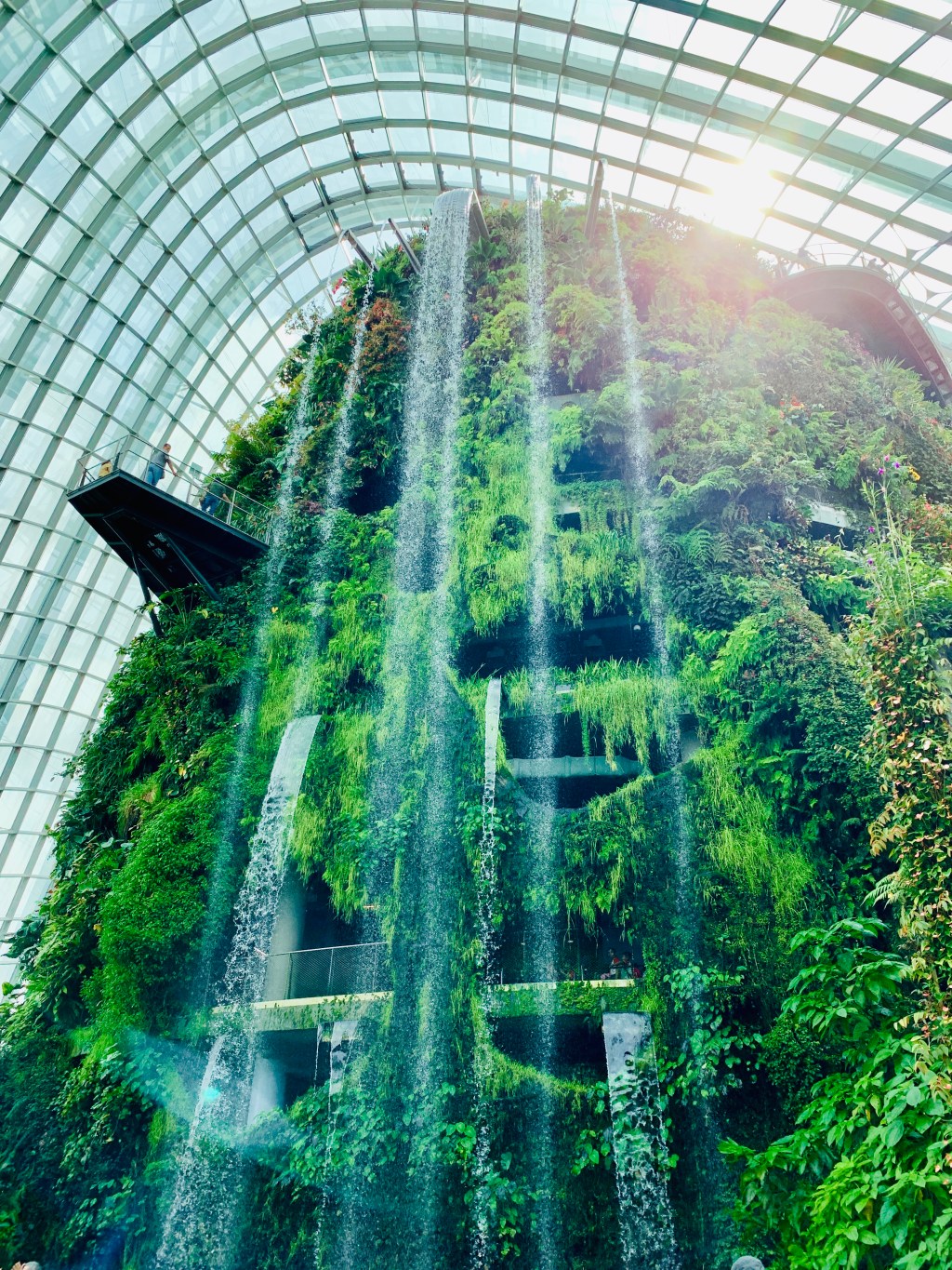 The indoor waterfall in the Cloud Forest dome, falling the full height of the glasshouse