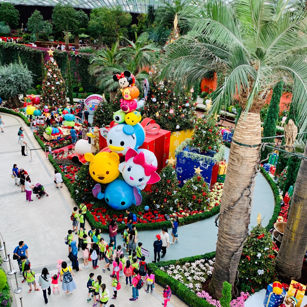 Looking down on the flower garden from the walkway, oversized coloured blooms among the palms