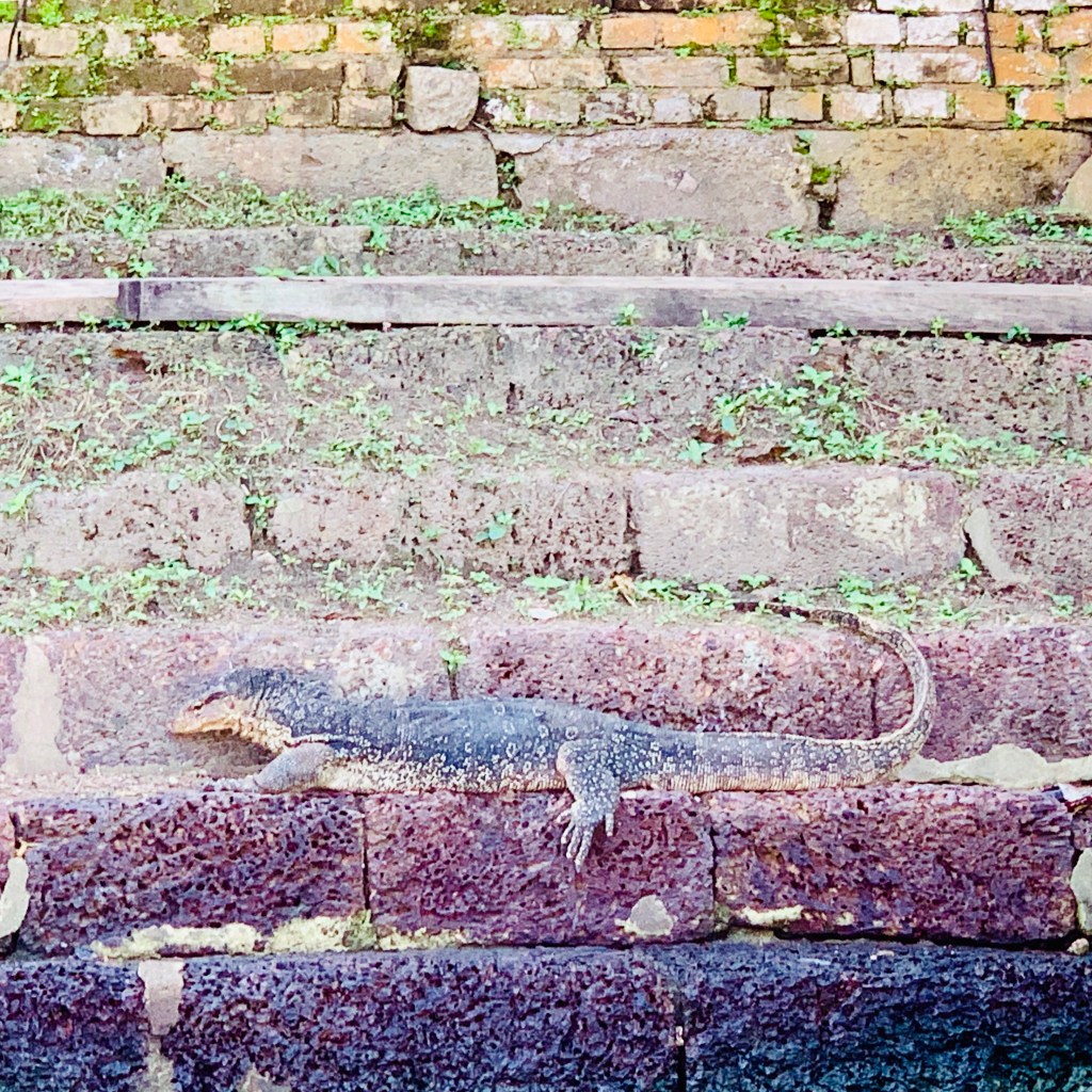 Weathered brick steps in Malacca, the mortar gone green with age
