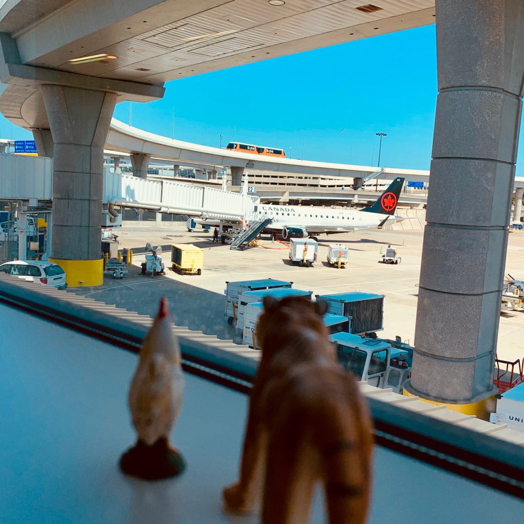 The rooster and tiger figurines standing on an airport windowsill, an Air Canada jet at the gate on the apron beyond the glass.