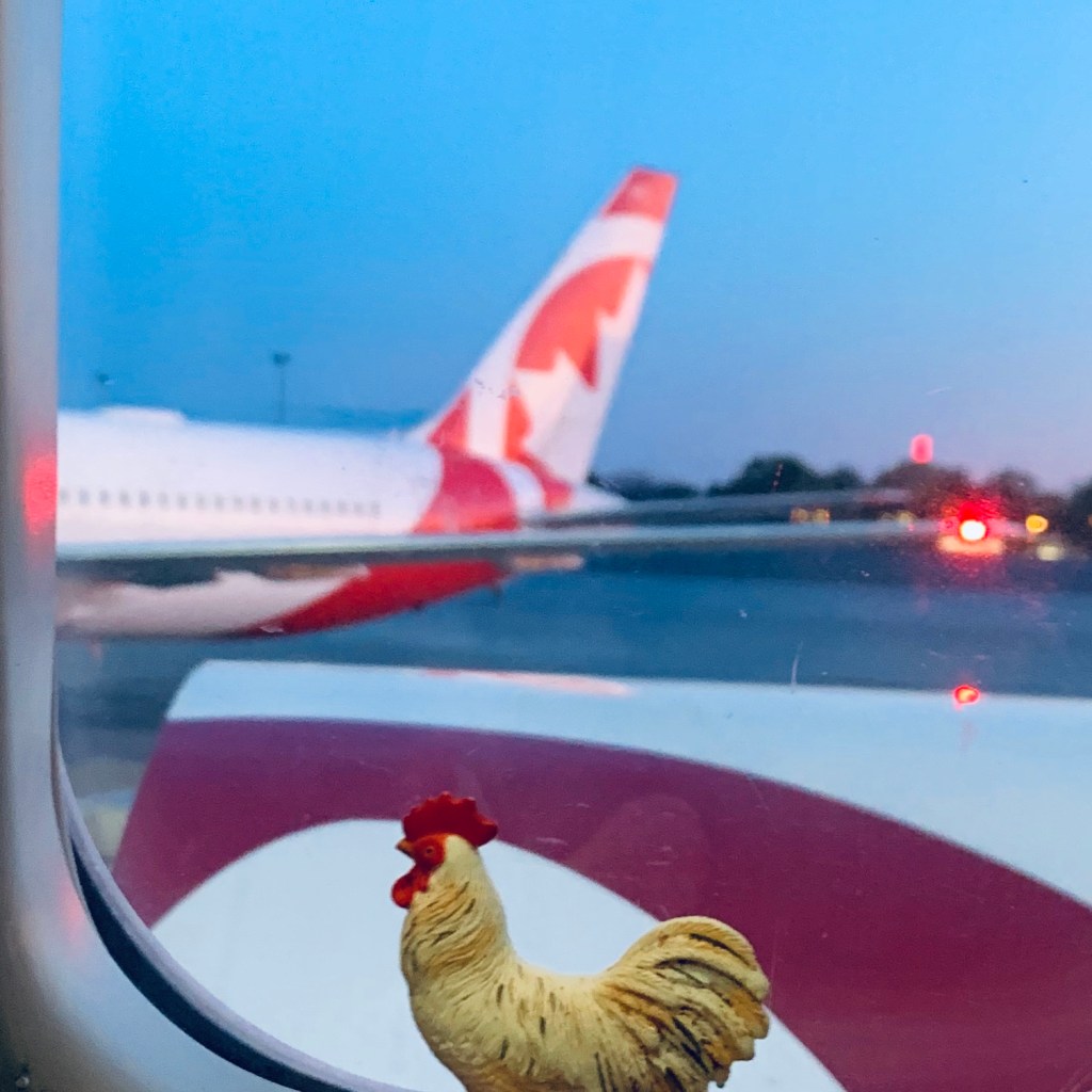 A hand holding the small rooster figurine up against an aircraft window at dusk, the red Air Canada tailfin of another jet visible on the taxiway outside.