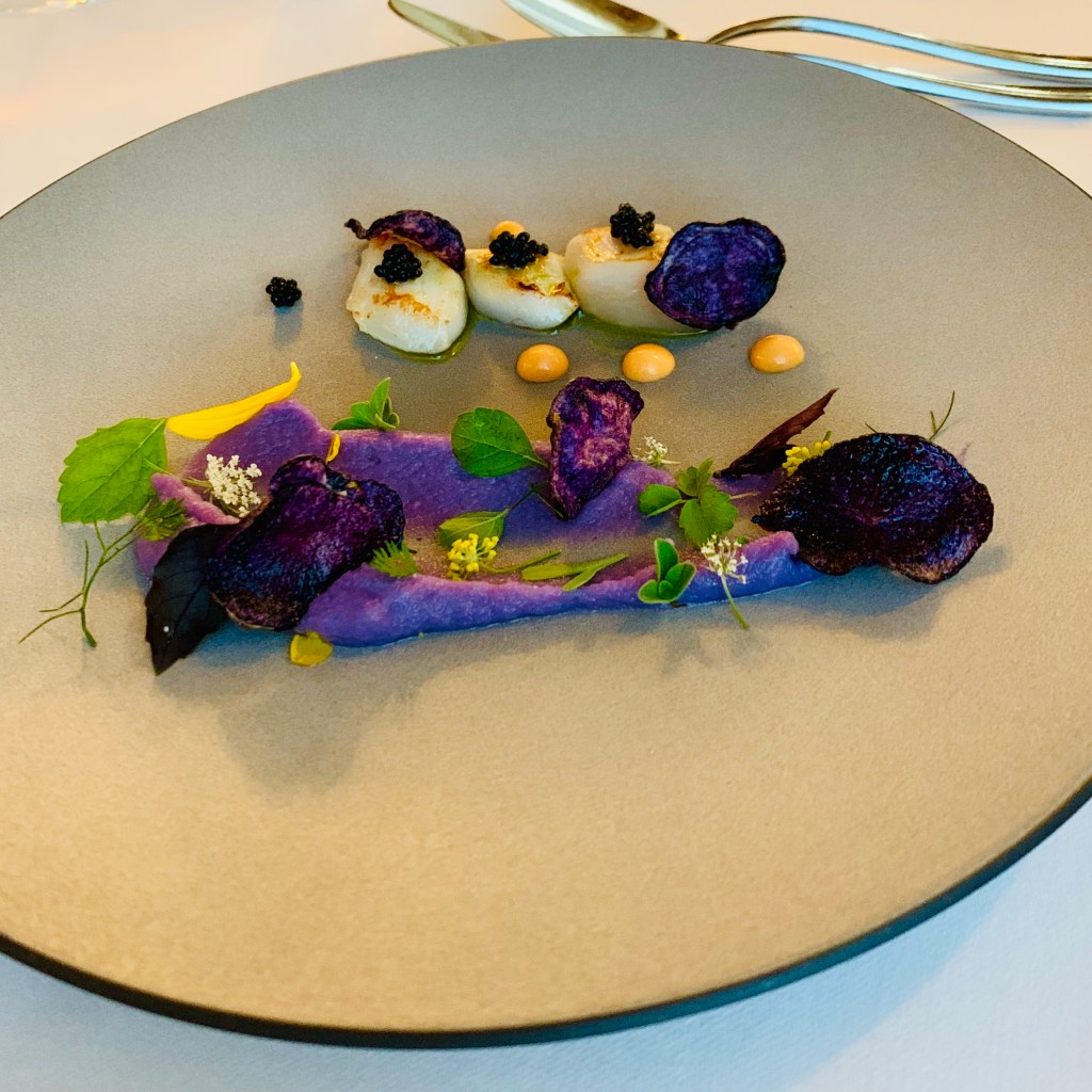 A plated course of seared scallops with caviar, purple potato and herbs, arranged along a grey ceramic plate on a white tablecloth.