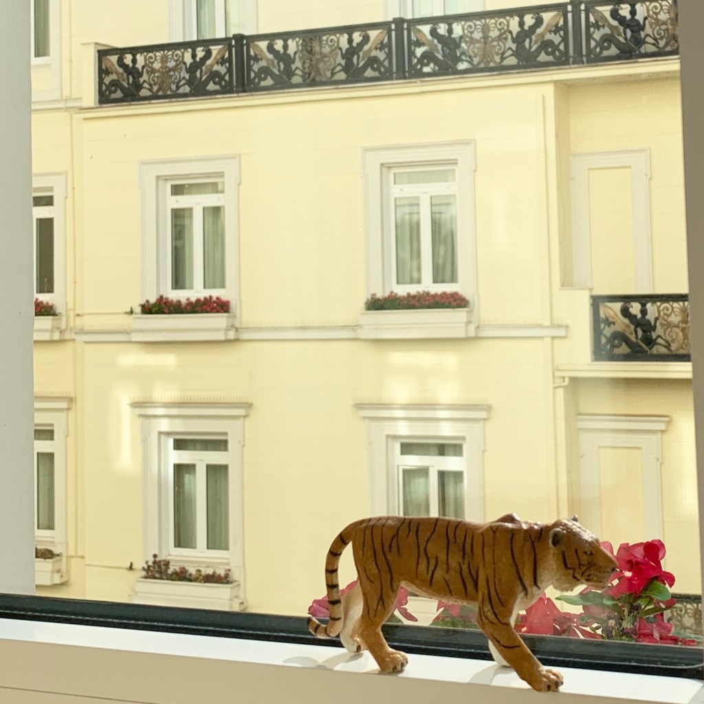 The tiger figurine standing on a hotel windowsill, looking out through the open window at a pale neoclassical building across the street.