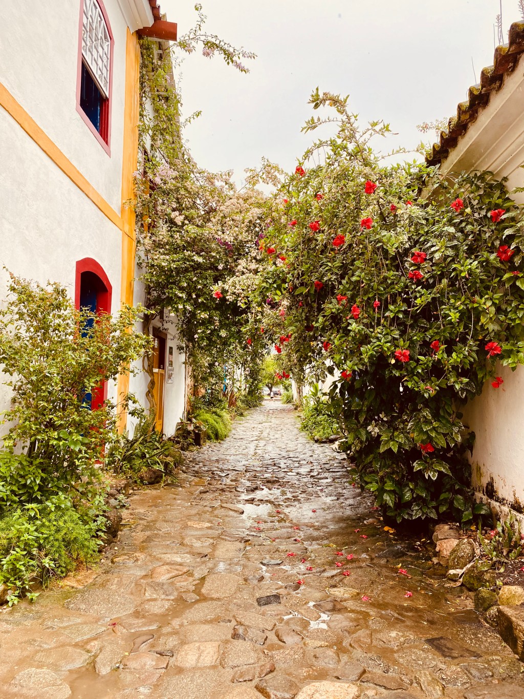 When A Port Walk Turns into a Spa&nbsp;Day