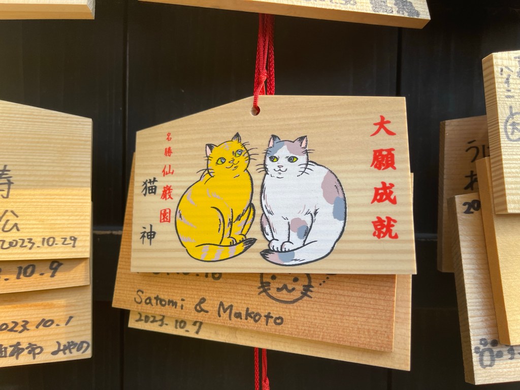 🚢 Day 3 Recap – Kagoshima,&nbsp;Japan