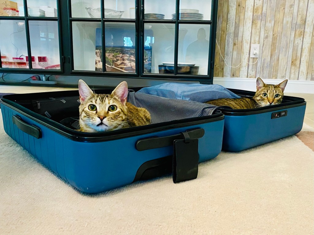 Our Journey to Athens: A Smooth Flight and an Interesting Start at The Roc&nbsp;Club