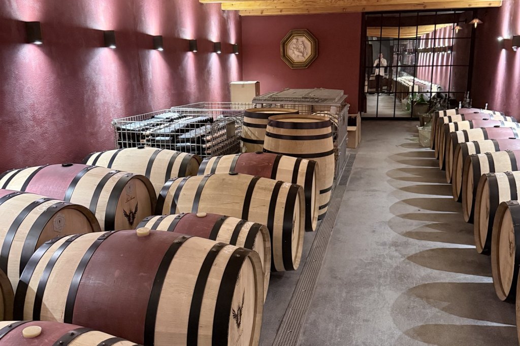 Rows of oak barrels under warm lighting in the cellar at Markus Divinus, Ħad-Dingli.