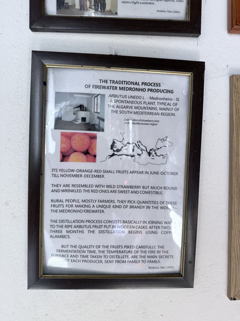 A framed board on a white wall explaining the traditional process of making medronho firewater from the fruit of the strawberry tree