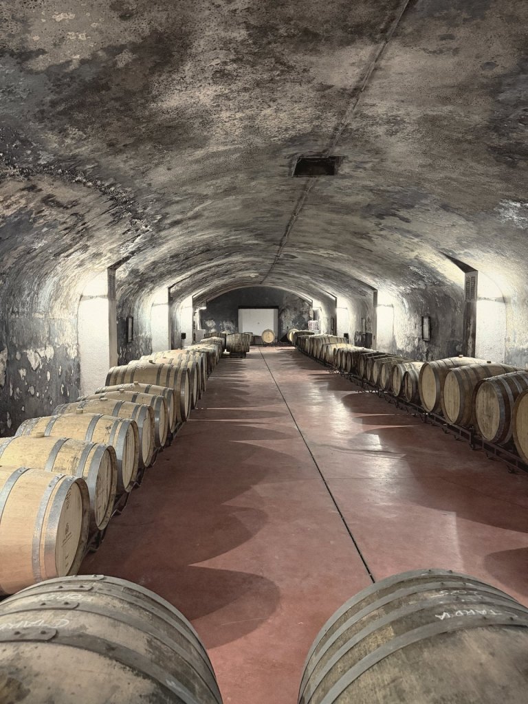 A long barrel-vaulted cellar with oak barrels in rows down both walls and a deep red floor running between them