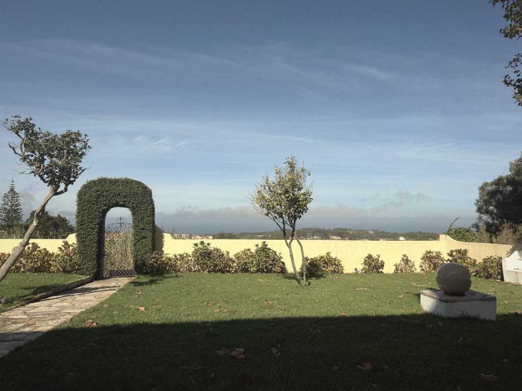 A clipped topiary arch with an iron gate set into a low yellow garden wall, a young citrus tree on the lawn, and the Atlantic a flat pale line on the horizon beyond