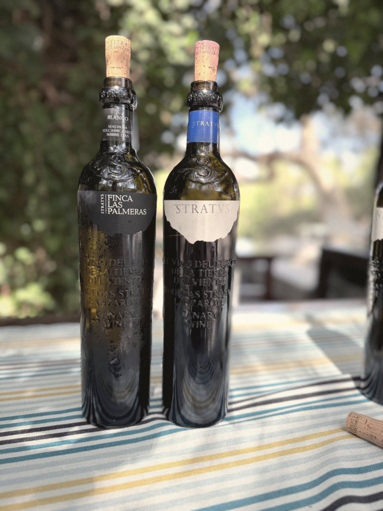 Two Stratvs wine bottles on a striped tablecloth outdoors: a Finca Las Palmeras Malvasía Volcánica white and a Stratvs bottle with a blue neck label.